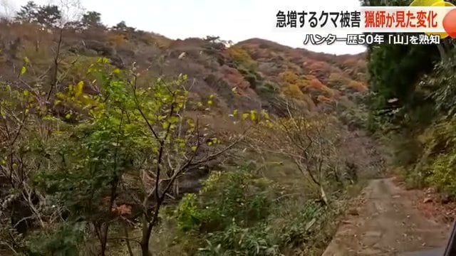 竹内さんが1カ月に10回は来るという山