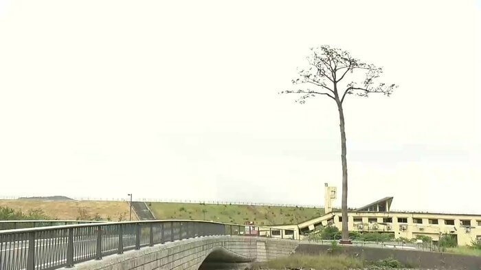 台湾は東日本大震災に際し200億円以上の義援金を送ってくれた
