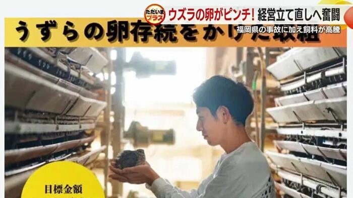 浜名湖ファームのクラウドファンディング