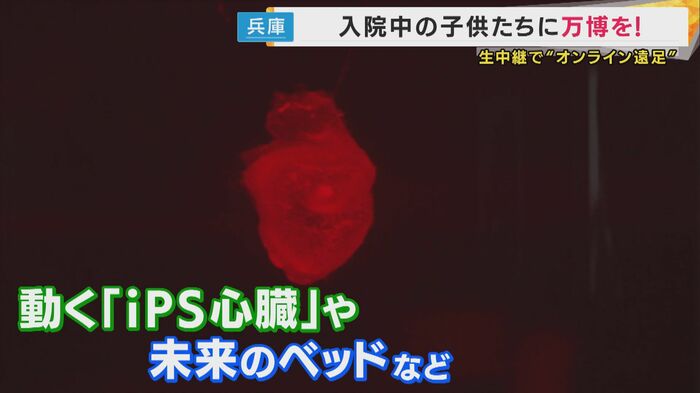 リモートツアーの様子