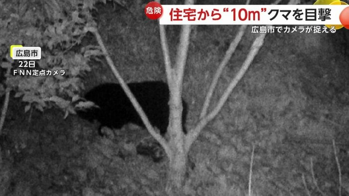 広島市で目撃されたクマ(22日)