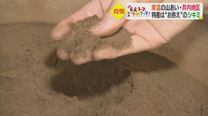粉状になったシキミ
