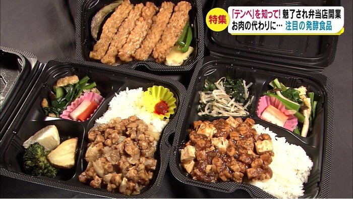 テンペの照り焼きや麻婆豆腐の弁当