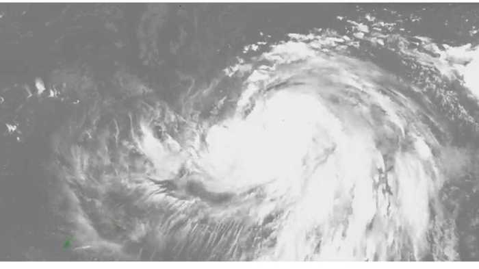 台風19号列島直撃か…5日先まで発表される“台風情報”をどのように活用すべき?