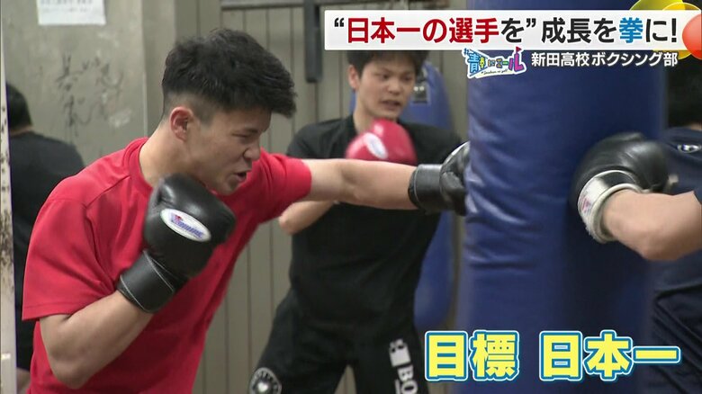 青春にエール！愛媛の高校生選手　初の全国チャンピオンに輝いた新田高校ボクシング部の青春に迫る｜FNNプライムオンライン
