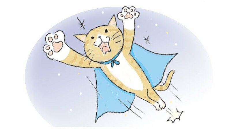 【猫あるある漫画】なんでそんなに猫しぐさ　第8回「突然の激走!!猫の“真空行動”が激しい」｜FNNプライムオンライン