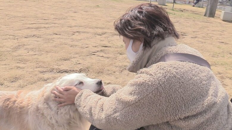 愛媛県に1匹だけ…引退する介助犬に感謝「ゆっくり過ごして」 共に暮らす女性が別れの決断｜FNNプライムオンライン