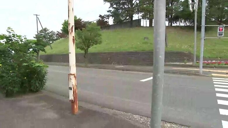 背後からクマに襲われ81歳男性けが　中学校付近で草刈り中　岩手県盛岡市｜FNNプライムオンライン