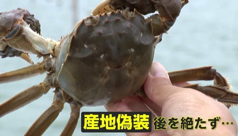 【独自】疑惑の業者を直撃「上海ガニ」産地偽装の悪質手口　「本物だ」と主張も…本物と明らかに違う“ブランドタグ”　中国｜FNNプライムオンライン