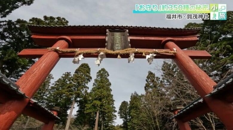 “夜泣きを止める”お守りなど350種類　陰陽道の流れくむ安倍晴明の師匠ゆかりの「賀茂神社」【福井】｜FNNプライムオンライン