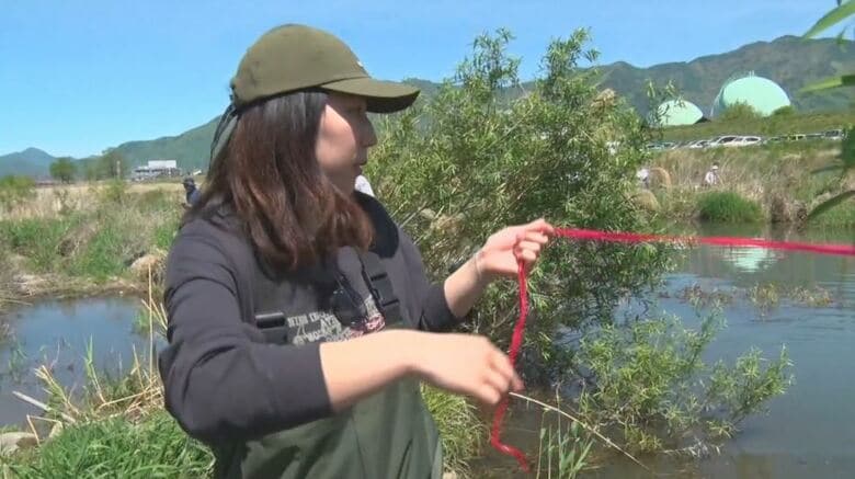 千曲川でアユ釣り解禁を前に「カワウ対策」　漁業関係者と大学生がカワウが嫌う成分を含むテープを張る作業　長野・上田市｜FNNプライムオンライン
