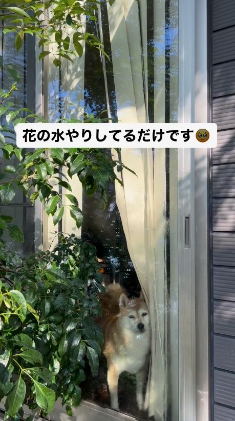 提供：橋本真実さん