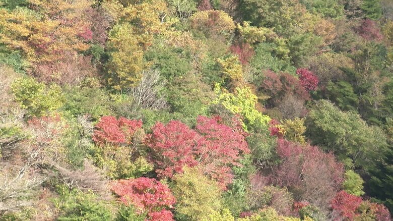 2023年10月25日　山肌の紅葉が始まっていた