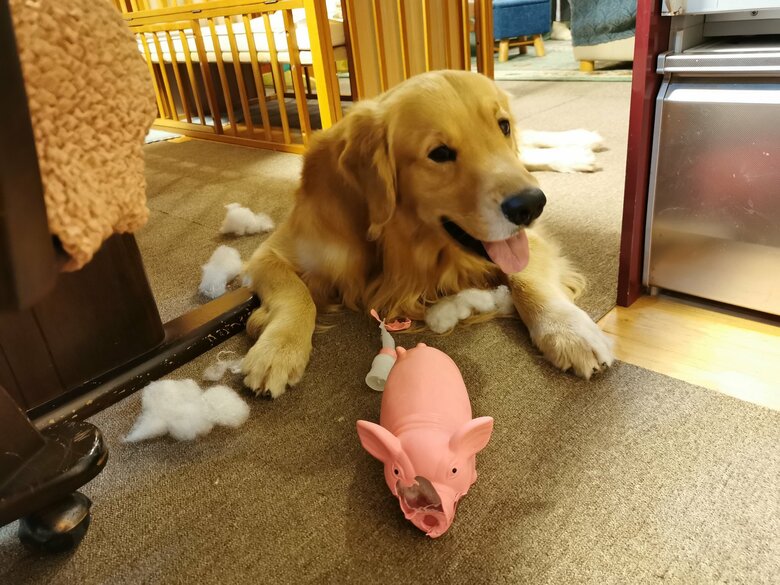 提供：ふぉるてさん