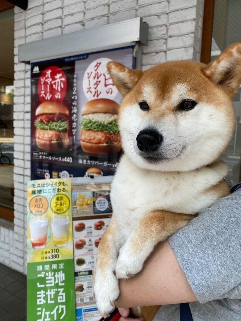 提供：torakichi602さん