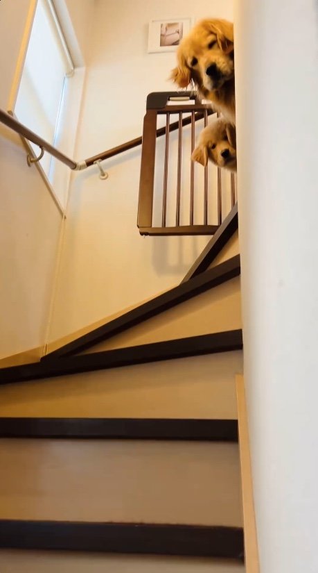 提供：efrinmanさん