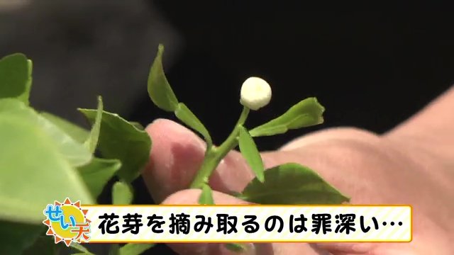 福島市の畑で実践
