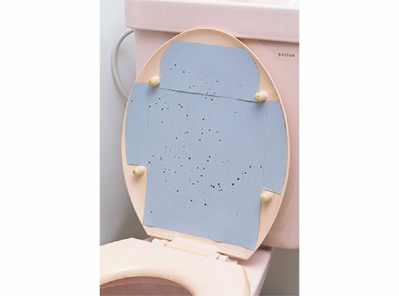 検証のイメージ　水に濡れて色が変わった部分（水滴数）を調べた（提供：ライオン株式会社）