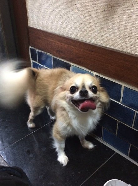 提供：榊 柾人さん