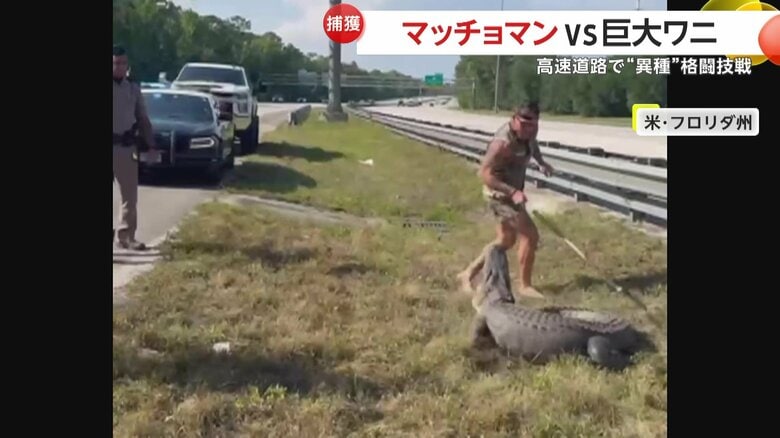 裸一貫、1人で巨大なワニを取り押さえていマッチョマン