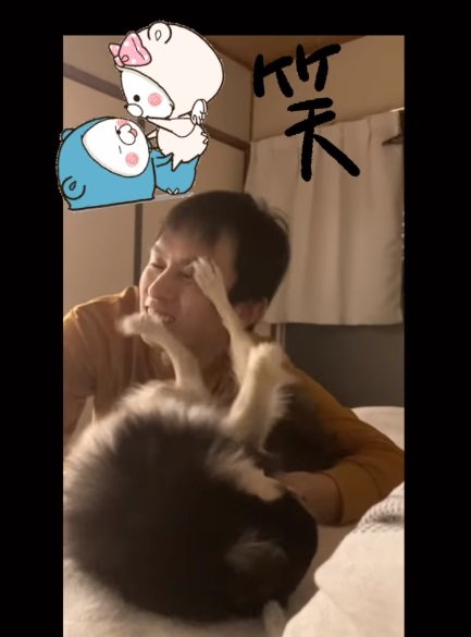 旦那さんの顔にキックを入れるさすけくん