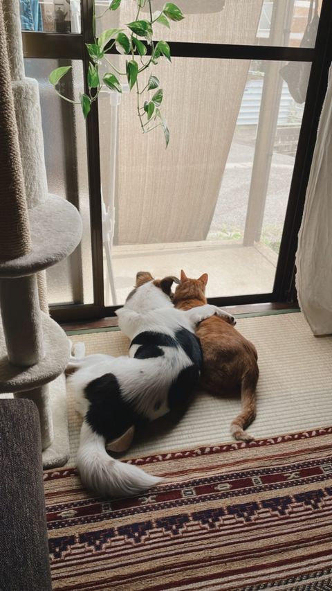 提供：naomiさん