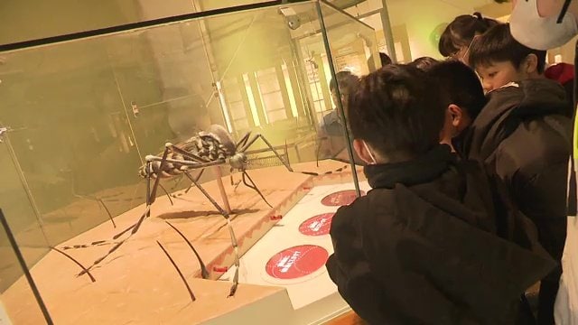 蚊が人の血を吸う仕組み