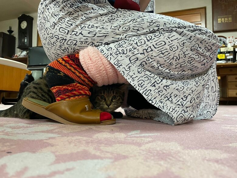 お客さんの足元に隠れることも