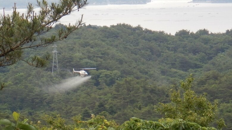 ヘリでの薬剤散布を行うこともある（出典：宮城県）