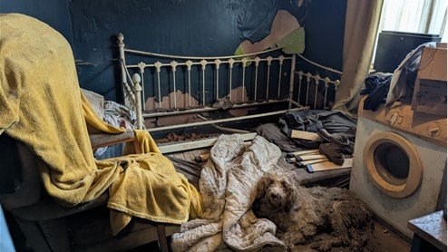 犬250匹が劣悪な環境で飼育されていた