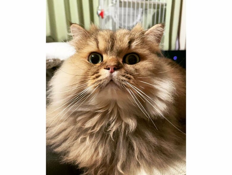 提供：ひなたさん