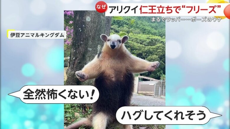 「全然怖くない！」「ハグしてくれそう」などの声があがっているSNS