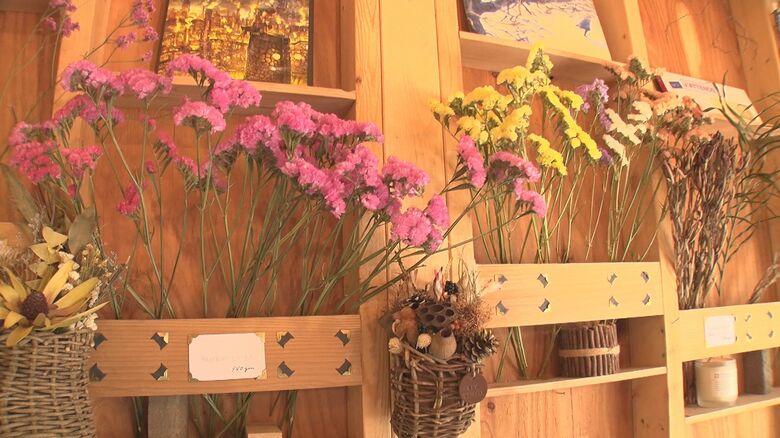 色鮮やかなドライフラワー