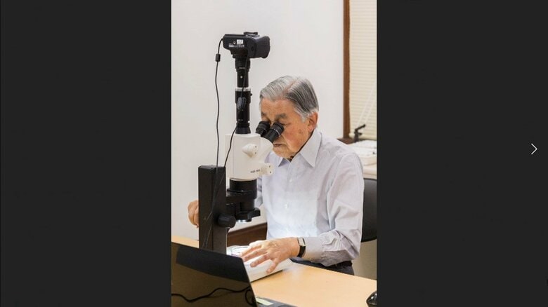 顕微鏡をのぞかれる上皇さま（画像提供：宮内庁）