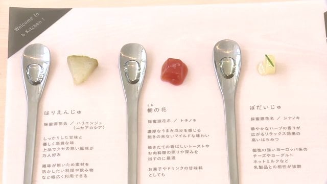 ハニーテイスティングプレート