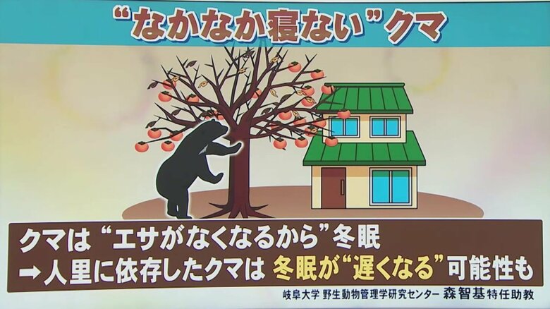 ニュースONE