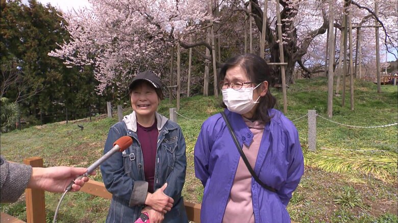 「満開の時は初めてだから、最高ですね」