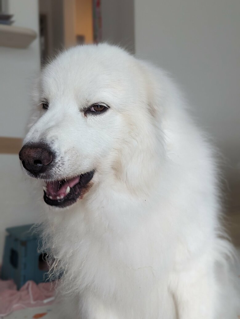 含みのある表情