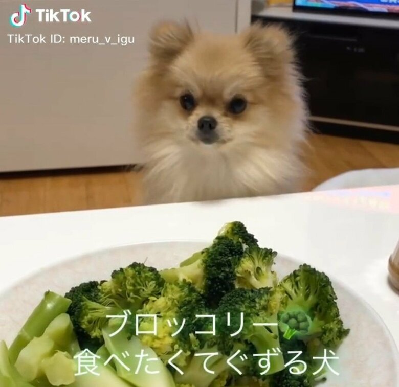 普段のご飯でも野菜が大好きだった