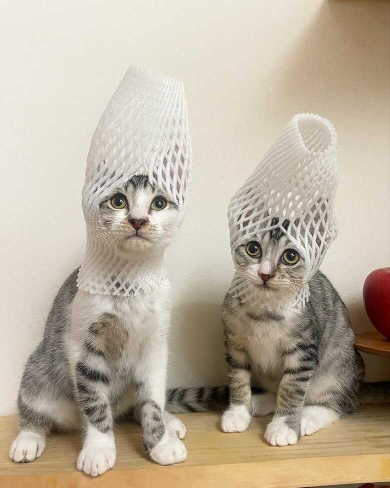 着こなし上手