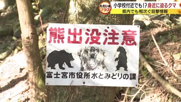 クマ出没注意の看板