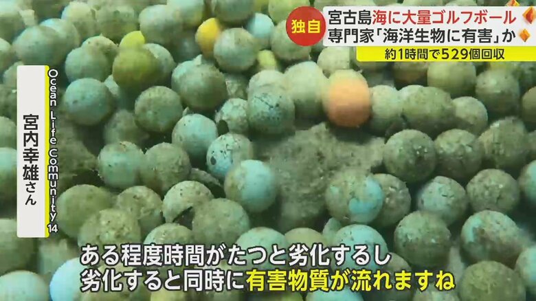 「海洋生物に対して、いろいろな害が生じてくるのでは」と話す