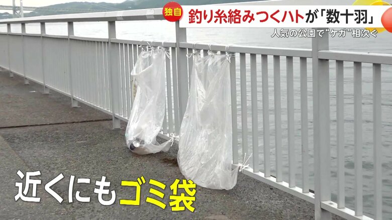 公園側が設置したゴミ袋