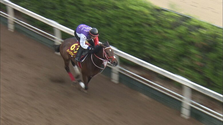 パーソナルハイ