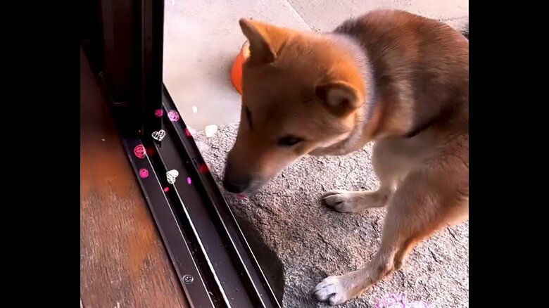 家の段差を乗り越える様子　その1