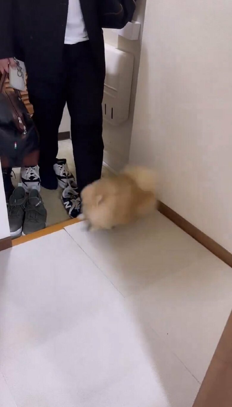 パパさんは家に入ろうとするもなかなか入れない
