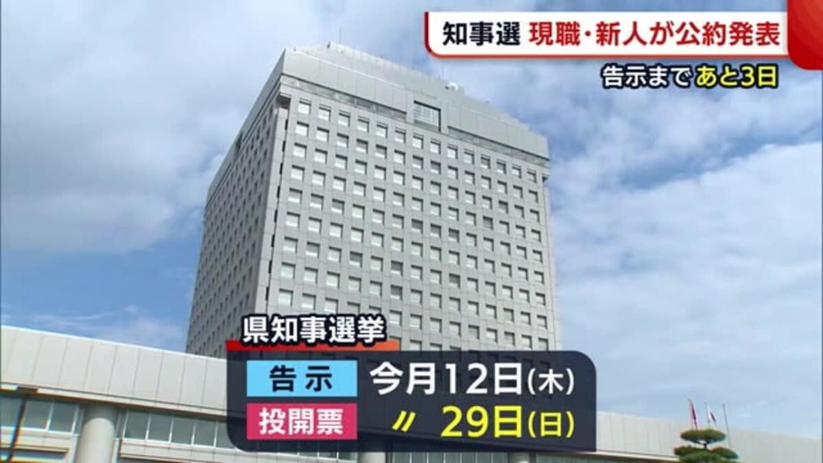 新潟県知事選挙 花角知事と片桐奈保美氏が 公約 を発表 告示は５月１２日