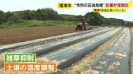 「本当に助かる」新タマネギ1.5キロ100円に笑顔　一方で生産現場は資材高騰で出荷に影響　“石油危機”で入手困難に　福岡