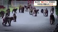サルに襲われ中学生けが…群れからはぐれ街に出没か　遭遇したら「目を合わせない」など対応を（島根）