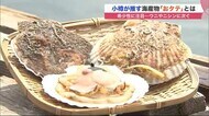 「おタテ」を観光の新たな起爆剤に　希少で甘くぷりぷり…ウニ・ニシンに次ぐ人気期待【北海道発】
